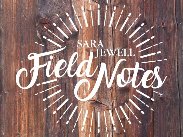 Field-Notes_800x600